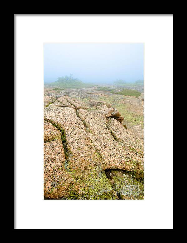 Acadia National Park Framed Print featuring the photograph Into the Fog by Tamara Becker
