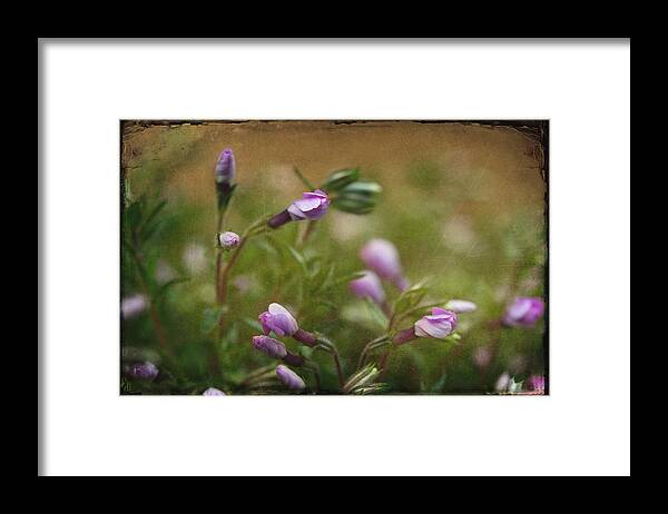 Pink Flowers Framed Print featuring the photograph Into The Garden by Michael Eingle