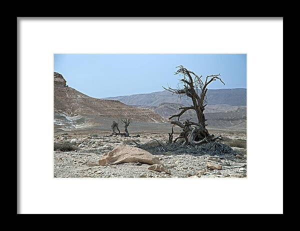 Israel Framed Print featuring the photograph Into the Israel Desert - 3 by Dubi Roman