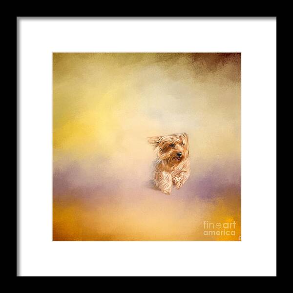 Jai Johnson Framed Print featuring the photograph Into The Wind by Jai Johnson