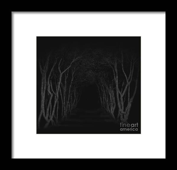 Dark Framed Print featuring the photograph Into Unknown by Sebastian Mathews Szewczyk