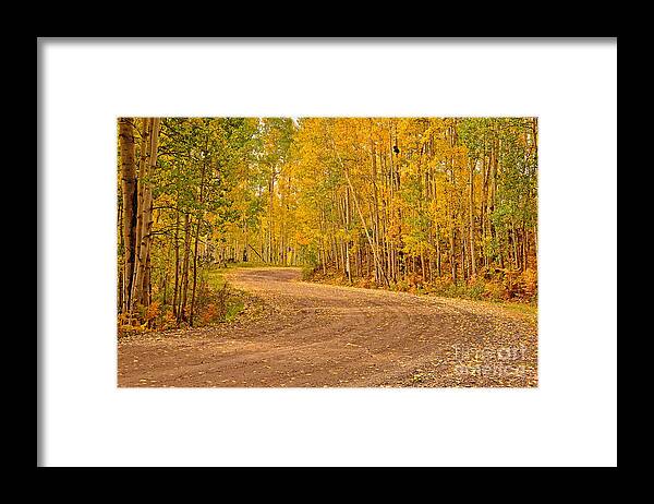 Aspen Framed Print featuring the photograph Inviting Bend by Kelly Black