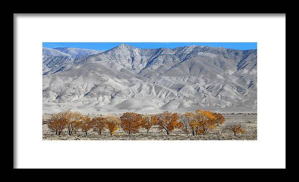 Inyo Mountains Trees And Dunes Framed Print featuring the photograph Inyo Mountains Trees And Dunes by Viktor Savchenko
