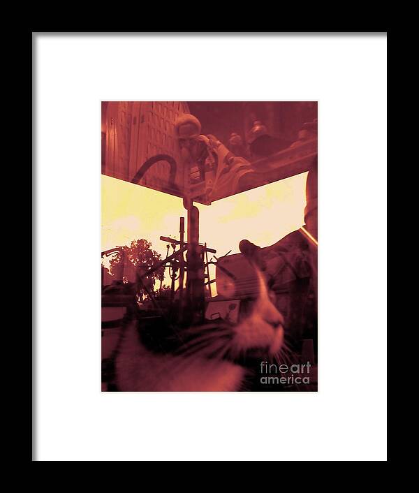 Cat Framed Print featuring the photograph Irie Mechanical 2 by Tamara Michael