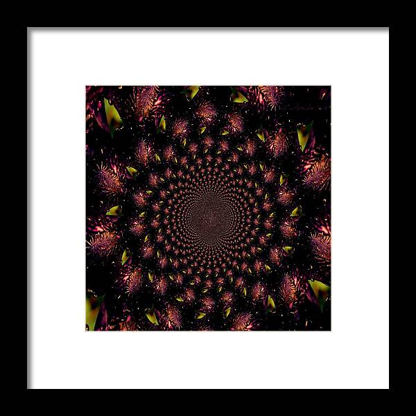 Earthy Framed Print featuring the photograph Iris and Foliage by Chris Berry