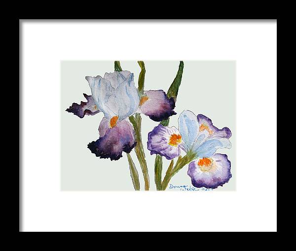 Iris Framed Print featuring the painting Iris by Donna Walsh