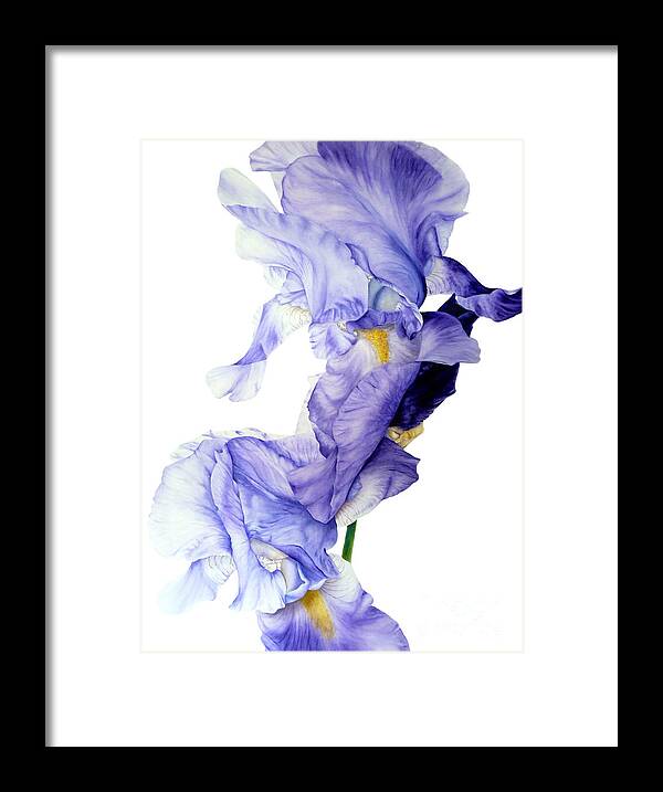 Iris Framed Print featuring the painting Blue Iris II by Marie Burke