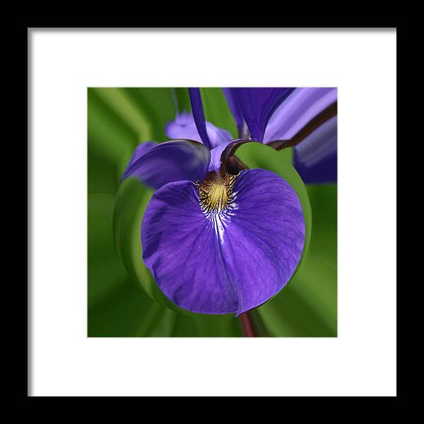 Flowers Framed Print featuring the photograph Iris Leaf by Jim Baker