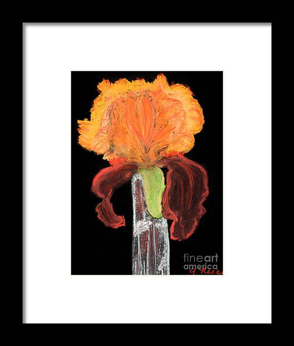 Iris Framed Print featuring the pastel Iris on Black by Ginny Neece