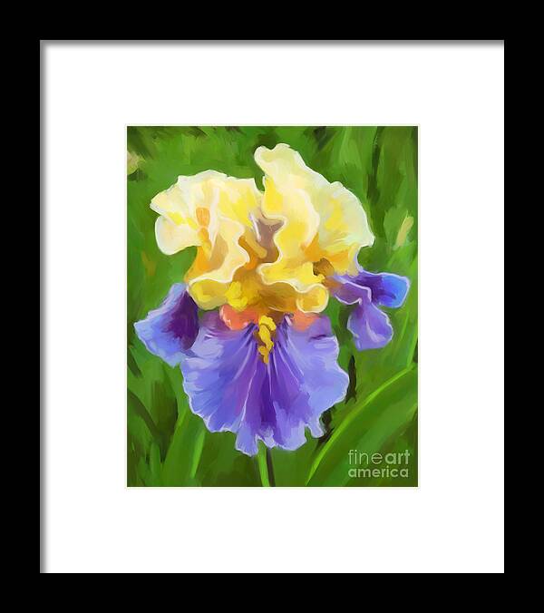 Iris Yellow And Purple Framed Print featuring the painting Iris-Yellow And Purple by Tim Gilliland