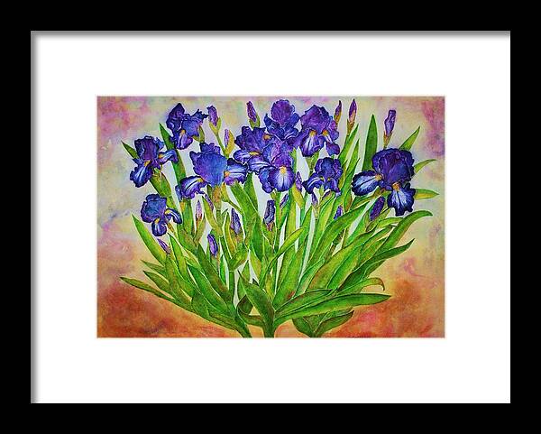 Iris Framed Print featuring the painting Irises by Janet Immordino