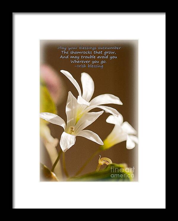 Small Framed Print featuring the photograph Irish Blessing by Sandra Clark