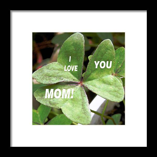 Love You Mom On A Beautiful Framed Print featuring the photograph Irish Mother's Day by Belinda Lee