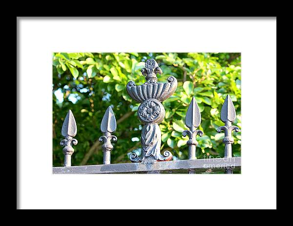 Fence Framed Print featuring the photograph Iron Fence by Cynthia Snyder