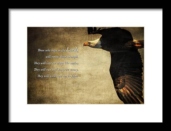 Isaiah 40:31 Framed Print featuring the photograph Isaiah 40 31 by Eleanor Abramson