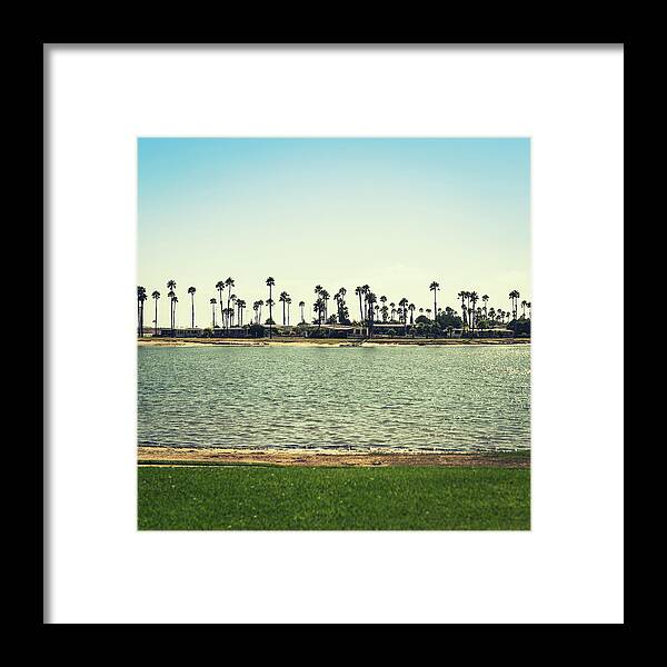 Tropical Tree Framed Print featuring the photograph Island Palm Tree In San Diego by Franckreporter