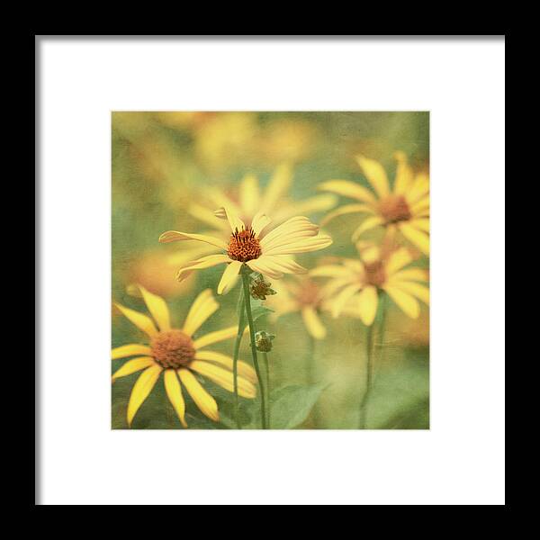 Yellow Flower Framed Print featuring the photograph It Must Be by Kim Hojnacki