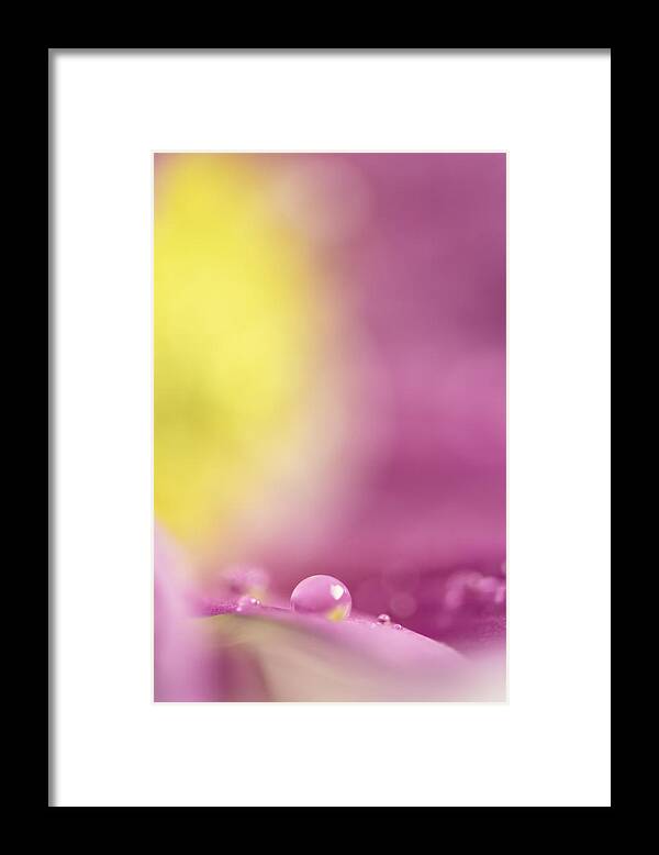 Abstract Framed Print featuring the photograph It Was Only In My Dreams by Sandra Parlow