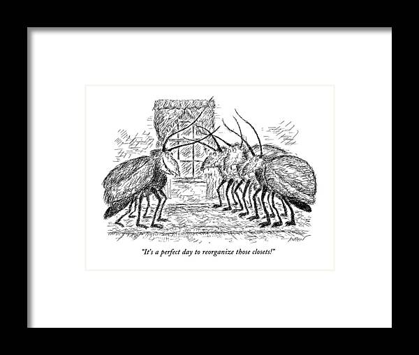 Insects Framed Print featuring the drawing It's A Perfect Day To Reorganize Those Closets! by Edward Koren