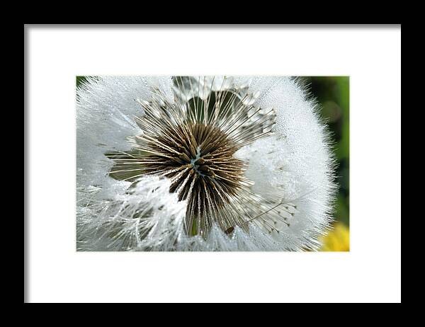 It's A Small World Framed Print featuring the photograph Its a Small World by JC Findley