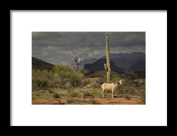 Arizona Framed Print featuring the photograph I've been through the desert on a horse with no name by Saija Lehtonen
