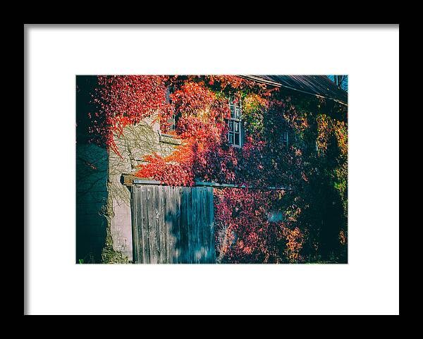 Derelict Framed Print featuring the photograph Ivy Covered Barn by James Canning