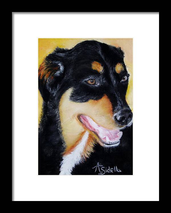 Dogs Framed Print featuring the painting Izzy by Annamarie Sidella-Felts