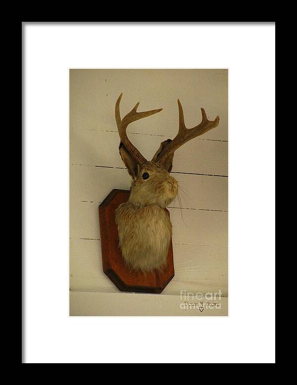 Rabbit Framed Print featuring the photograph Jack-a-lope by Donna Brown