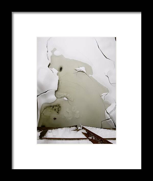 Ice Framed Print featuring the photograph Jack Frost Nipping at Your Nose by Azthet Photography