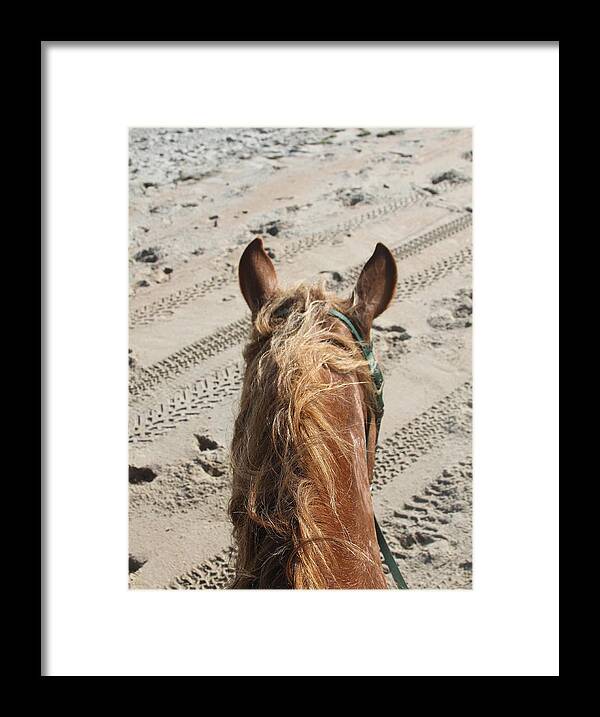 Horse Framed Print featuring the photograph Jac's Ears 2 by Cathy Lindsey