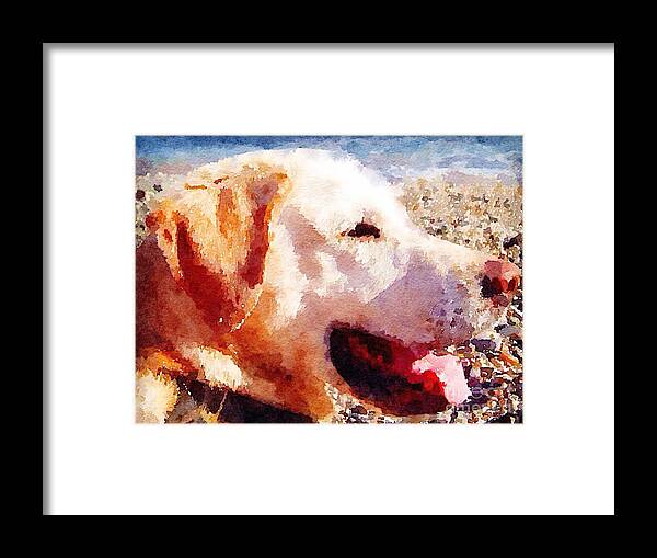 Labrador Framed Print featuring the painting Jake by Vix Edwards
