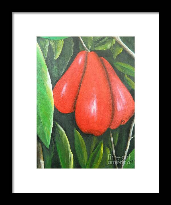 Fruit Framed Print featuring the painting Jamaican Apple by Kenneth Harris