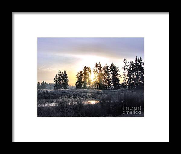 Landscape Framed Print featuring the photograph January Morning by Rory Siegel