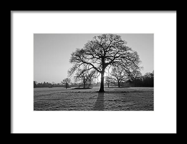 Mono Framed Print featuring the photograph January Sunday Morning by Tony Murtagh