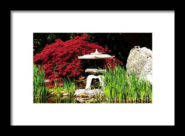 Garden Framed Print featuring the photograph Japanese Garden by Angela DeFrias