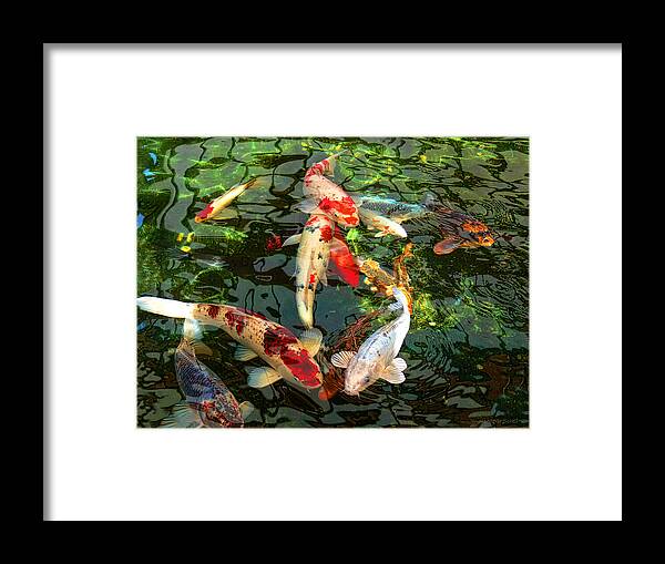 Koi Framed Print featuring the photograph Japanese Koi Fish Pond by Jennie Marie Schell