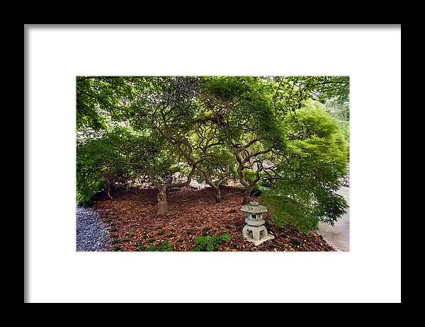 Japan Framed Print featuring the photograph Japanese Maples Trees by Jerry Gammon