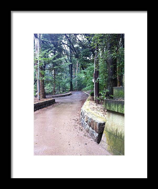 Japanese Road Framed Print featuring the photograph Japanese Winding Road by Angela Bushman