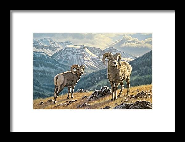 Wildlife Framed Print featuring the painting Jasper Rams by Paul Krapf