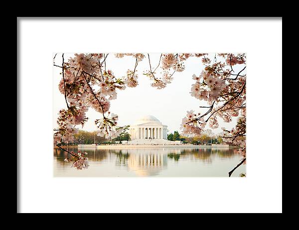 Cherry Framed Print featuring the photograph Jefferson Memorial With Reflection and Cherry Blossoms by Good Focused