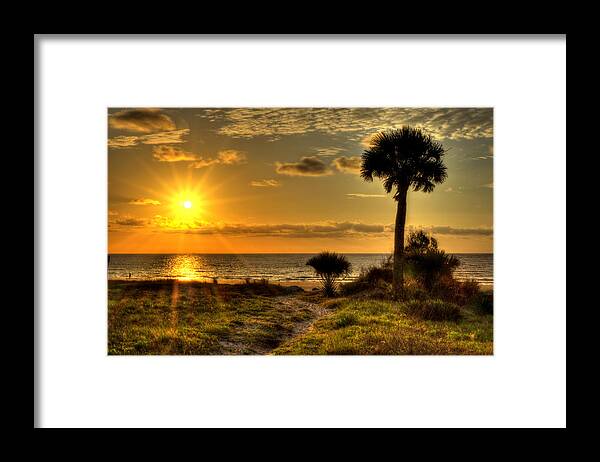 Jekyll Island Framed Print featuring the photograph Jekyll Island Dune Trail at Sunrise by Greg and Chrystal Mimbs