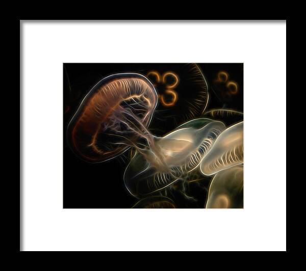 Jellyfish Framed Print featuring the digital art Jellyfish Digital Art by Ernest Echols