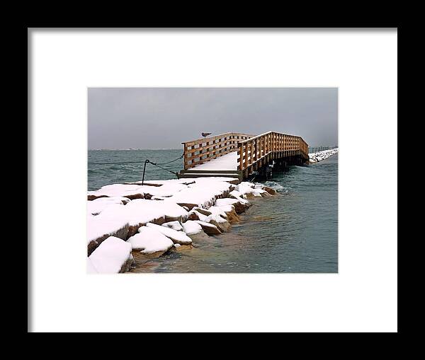 Jetty Framed Print featuring the photograph Jetty Plymouth by Janice Drew