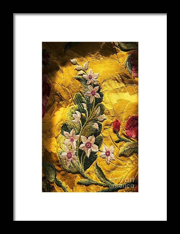 Jacobean Framed Print featuring the photograph Jewel Embroidery by Brenda Kean