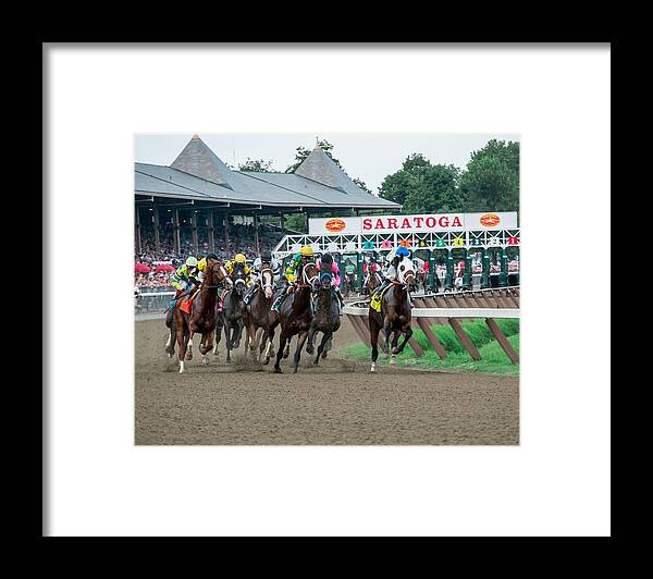 Horse Framed Print featuring the photograph Jim Dandy Stakes by William Stephen