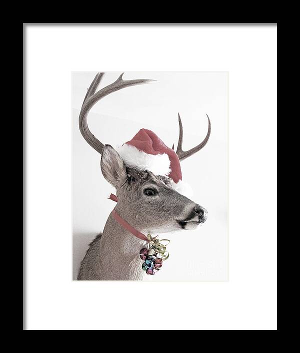 Deer Framed Print featuring the photograph Jingle Deer by Betty Morgan
