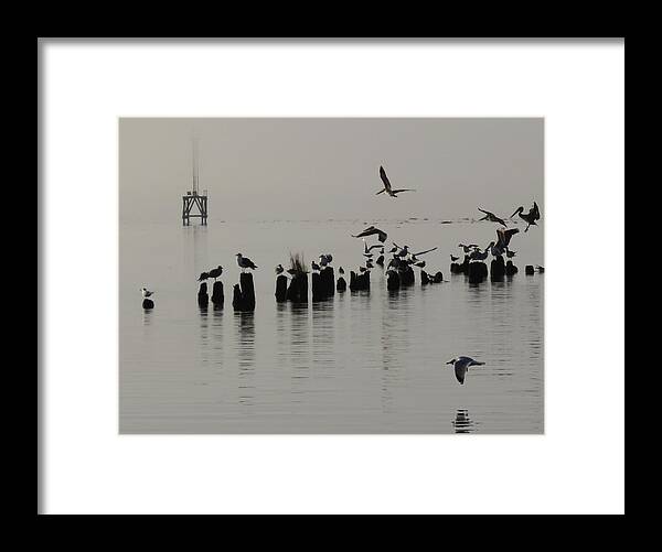 Landscape Framed Print featuring the photograph Jockeying by Deborah Smith