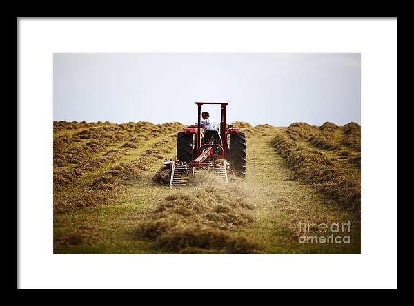 Farmer Framed Print featuring the photograph Joe Fox Fine Art - farmer driving vintage massey ferguson tractor making hay in county down ireland by Joe Fox