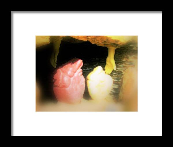 Aorta Framed Print featuring the photograph Joe's Aorta by Laureen Murtha Menzl