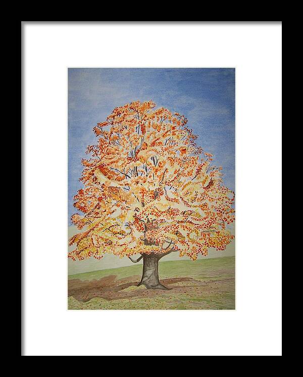Maple Framed Print featuring the painting Jolanda's Maple Tree by Vera Smith